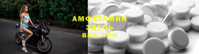 Amphetamine Premium  Гудермес 